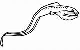 Viperfish sketch template