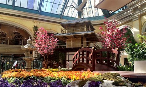 east meets west at the bellagio s new japanese spring