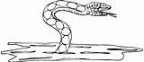 Serpente Serpiente Water Stampare Dacqua Saliendo Acqua sketch template