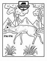 Dik Mammal sketch template
