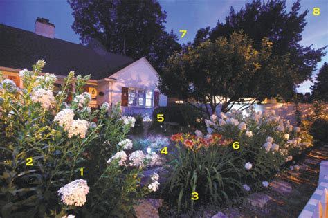 moon gardens are a popular way to relax outdoors at night wsj