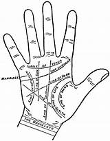 Palmistry Lines Chiromancy sketch template