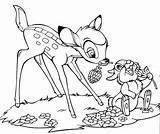 Bambi Pages Coloring Printable Kids sketch template