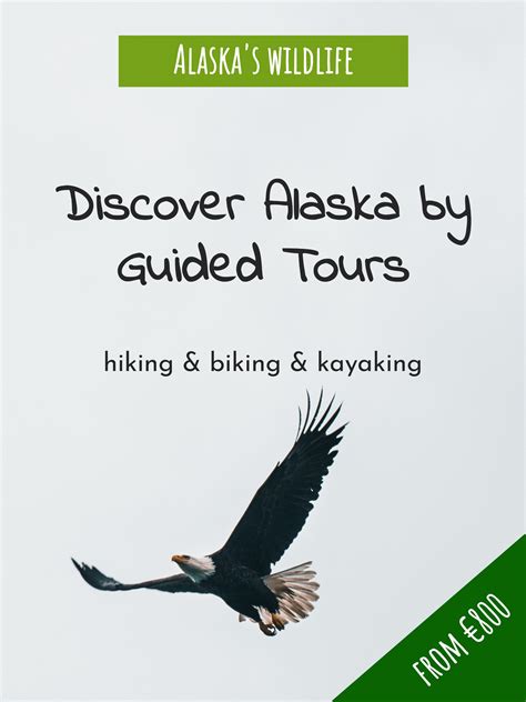 explore alaskas wildlife outdoor adventure activities explore alaska alaska wildlife