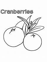 Cranberries Printable Cranberry sketch template