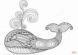 Zentangle Whale Coloring Pages Adults Printable Color Drawing Paper Crafts sketch template