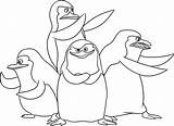 Pingwiny Kolorowanka Druku Madagaskaru Malowankę Wydrukuj sketch template
