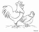 Coloring Pages Chicken Chickens Hen Two Printable Kids Pitara Color Preschoolers Template sketch template