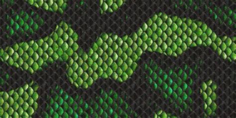 au  vanlige fakta om green snakeskin wallpaper browse millions
