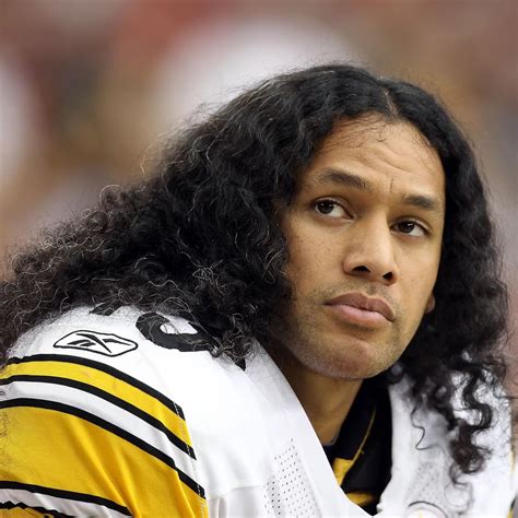 greatest plays  troy polamalus pittsburgh steelers career news scores highlights