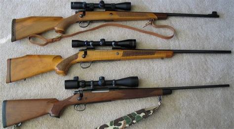 deer hunting rifle atdeerhuntingguns twitter