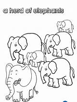 Herd Coloring Elephants Colouring Designlooter Own Print Off sketch template