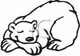 Bear Sleeping Coloring Hibernating Clipart Drawing Template Clip Pages Bears Printable Sleep Hibernation Getcolorings Animals Clipartkid Getdrawings Sketch Funny sketch template
