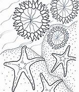 Coloring Sea Anemone Aquarium Pages Monterey Kids Printable Bay Beach Ocean Coral Designlooter Drawings Anemones Stars Animals Color Benthic 276px sketch template