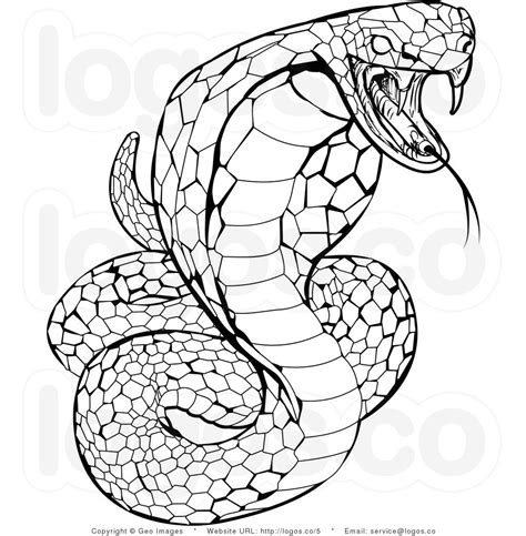 snake coloring pages  adults google search snake coloring pages