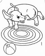 Coloring Dog Weiner Pages Getcolorings Dachshund sketch template
