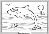 Coloring Orca Abcworksheet sketch template