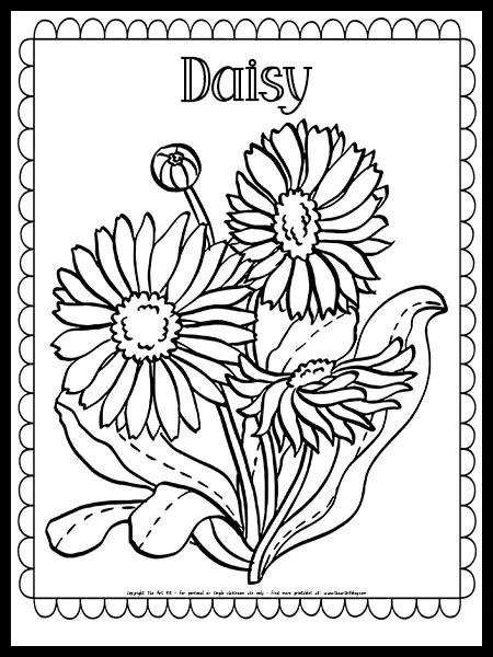 daisy flower coloring page  printable  art kit