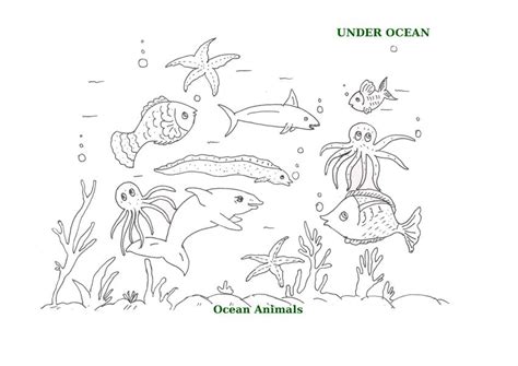 ocean animals printable coloring pages  kids