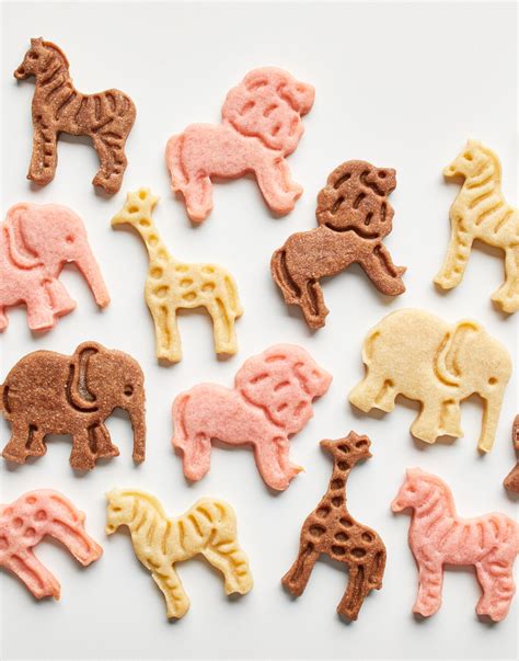 homemade animal cookies recipe