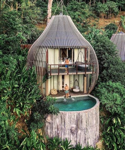 fantastic treehouse hotel  phuket thailand spaceoptimized cool tree houses tree