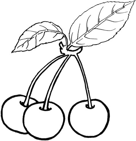 coloring sheet  fruits   tree color udin