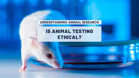arguments  animal testing answers  common arguments