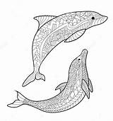 Zentangle Dolphin Clipt Dauphin Coloriage Coloringpagesfortoddlers Getcolorings Doghousemusic sketch template