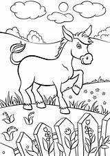 Donkey раскраски sketch template