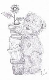 Teddy Tatty Coloring Pages Bear Search Colouring Drawing Visit Again Bar Case Looking Don Print Use Find sketch template