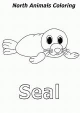 Coloring Seal Baby Animals Pages Arctic Color Popular Library Clipart sketch template