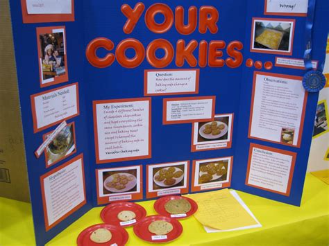 pretty elementary school science fair project ideas