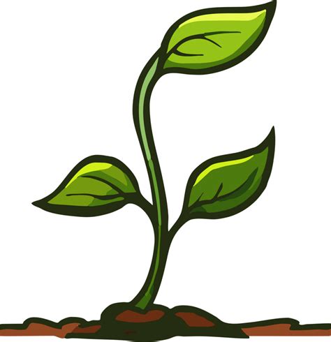 sprout png graphic clipart design  png  transparent