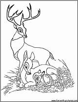 Bambi Getcolorings Coloriages sketch template