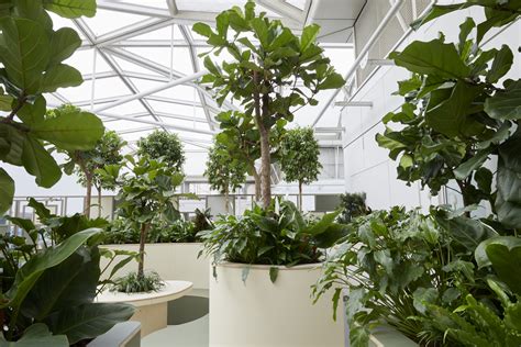 indoor gardens  hospitals nhs forest