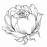 Rosebud Coloring Pages из все категории раскраски Flowers sketch template