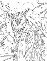Owl Wanderjobs sketch template