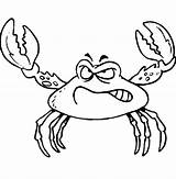 Crab Fiddler Crabs Caranguejos Coloring sketch template