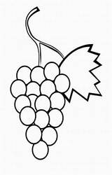 Weintraube Uvas Colorear Ausmalbild Grapes Racimo sketch template