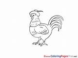 Coloring Pages Cock Printable Sheet Title sketch template