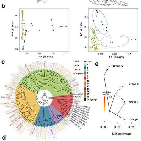 pdf genomic insights into the recent chromosome reduction and