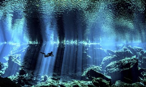 mesmerising winners   underwater photography awards