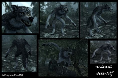 The Elder Scrolls V Skyrim Screenshot Werewolf By