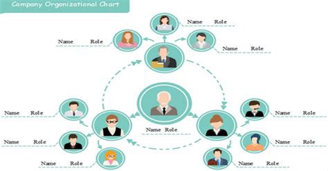 types  organizational charts  examples edrawmind