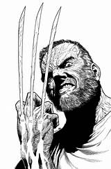 Old Man Mcniven Wolverine Logan Marvel Comics Comic Coloring Behance Steve Steven Artists Books Book Dc Checking Thanks So Artist sketch template