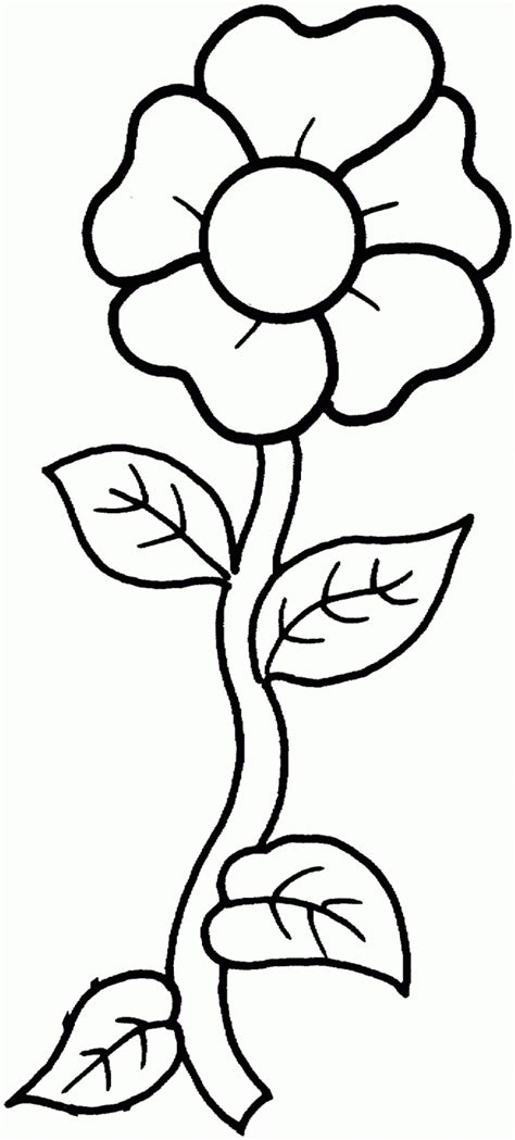 flower coloring pages  girls    coloring home