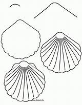 Shell Drawing Draw Easy Simple Seashell Drawings Shells Coral Step Sea Coloring Beach Kids Pages Fish Cliparts Doodle Thedrawbot Clipart sketch template