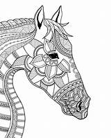 Horse Coloring Mandala Pages Zentangle Kleurplaten Head Colouring Volwassenen Doodle Animal Illustration Paarden Dieren Voor Tekeningen Kleurboeken Canvas Template Paard sketch template