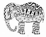 Coloring Pages Elephant Indian Getcolorings Elephants sketch template