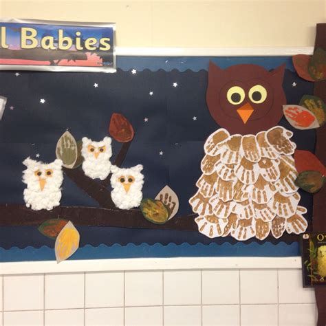 owl babies display    baby owls school art activities owl